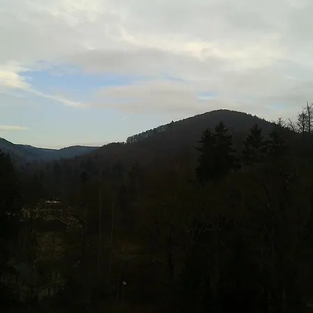 Отель Angelique